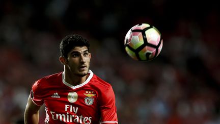 Le joueur portugais Gonçalo Guedes (CARLOS PALMA / NURPHOTO)