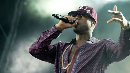 Booba lors de son concert aux Eurockéennes de Belfort en juillet 2017
 (Sebastien Bozon / AFP)