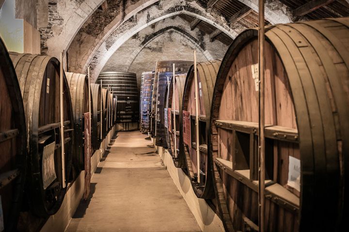 Caveau le dominicain à Collioure (Office de tourisme des pyrénées-orientales HERVELECLAIR@ASPHERIES.COM)