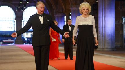 Le prince Charles et son &eacute;pouse Camilla, lors du d&icirc;ner d'abdication de la reine Beatrix des Pays-Bas, le 29 avril 2013. (DIRK WAEM / BELGA MAG / AFP)