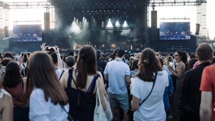 Illustration du festival We Love Green, au bois de Vincennes à Paris, le 1er juin 2019. (PHOTO D'ILLUSTRATION / PHILIPPE LABROSSE / MAXPPP)