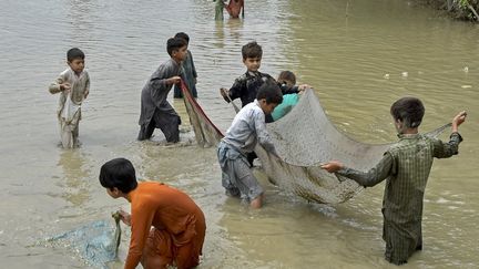 Des enfants pêchent dans une rue inondée après des intempéries, au Pakistan, le 11 septembre 2022.&nbsp; (ABDUL MAJEED / AFP)