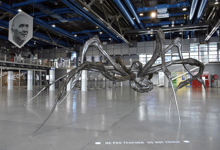 Araignée géante de Louise Bourgeois, rétrospective au Centre Pompidou en 2008
 (STEPHANE DE SAKUTIN / AFP)