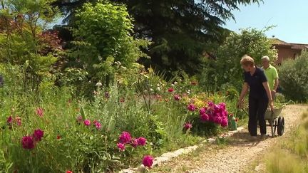 Alpes-Maritimes : à Grasse, le jardin de Marcel et Lucille est un hymne aux pivoines