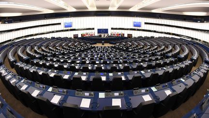 Le Parlement européen de Strasbourg, en 2016. (FREDERICK FLORIN / AFP)