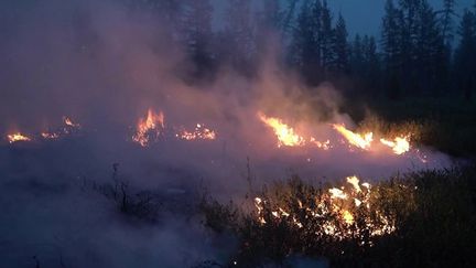 Incendies : l'été de tous les dangers, de la Sibérie au Liban