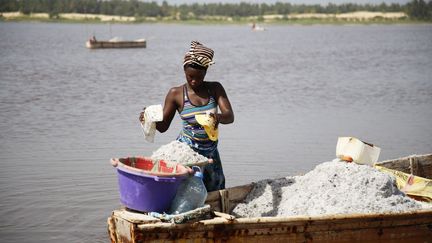 ce sont les femmes qui déchargent les barques remplies par les racleurs de sel à l'aide de bassines de 30 kilos qu'elles portent sur leur tête. La récolte annuelle atteint 60.000 tonnes, consommées au Sénégal ou exportées jusqu'en Europe pour saler les routes. La «saison du sel» commence en mai pour finir en juillet, période où la partie nord du lac Rose est la plus prolifique. Ces eaux sont célèbres pour leur couleur rose et leur taux élevé de salinité: plus de 350g de sel par litre, contre environ 275g pour la mer Morte et 30g pour l'eau de mer. Ce qui en fait, depuis les années 1970, un des plus gros sites d'extraction de sel en Afrique de l'Ouest. (CEMIL OKSUZ / ANADOLU AGENCY)