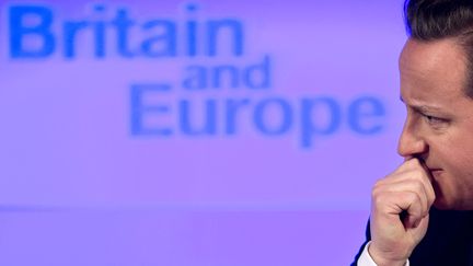 Le Premier ministre britannique, David Cameron, d&eacute;livre son discours sur l'avenir de l'Europe, le 23 janvier 2013 &agrave; Londres.&nbsp; (BEN STANSALL / AFP)