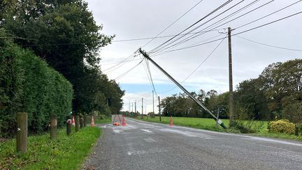 Une ligne électrique près de Rennes (Ille-et-Vilaine), le 2 novembre 2023. (AURORE MESENGE / AFP)