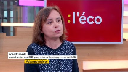 Invitée de Stéphane Dépinoy dans ":l'éco", Anne Bringault, coordinatrice des ONG pour la transition énergétique au Cler et au Réseau Action Climat, est venue parler de l'urgence climatique et des moyens à mettre en oeuvre pour y répondre.