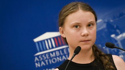 Greta Thunberg lors de son discurs devant les députés, à l'Assemblée nationale le 23 juillet 2019 (LIONEL BONAVENTURE / AFP)