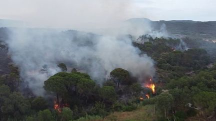 Mercredi 12 juin, 600 hectares sont partis en fumée dans le Var. Les sapeurs-pompiers sont toujours à pied d'œuvre sur place pour éteindre les flammes. Les habitants ont été évacués.