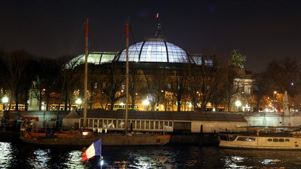 Le Grand Palais de nuit, Paris 2015 (PIERRE HECKLER / MAXPPP)