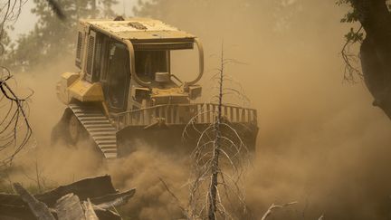 Pour tenter de freiner le feu, les pompiers utilisent des bulldozers, à Mariposa, depuis le 25 juillet 2022. (DAVID MCNEW / AFP)