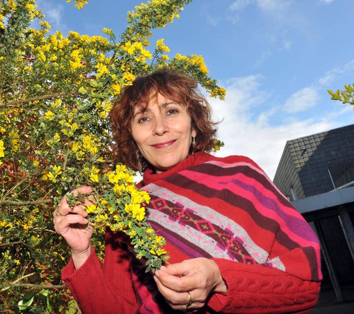 Marie-Monique Robin 
 (PHOTOPQR/OUEST FRANCE/Marc OLLIVIER )