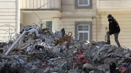 Un sauveteur et son chien tentent de retrouver des survivants dans les décombres à Diyarbakir, en Turquie, le 13 février 2023. (AYDIN ARIK / ANADOLU AGENCY / AFP)