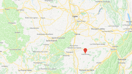 Des paysagistes blagueurs se sont amusés à tailler des arbustes en forme de pénis, devant le château de Hauterives, dans la Drôme. (CAPTURE ECRAN GOOGLE MAPS / FRANCEINFO)