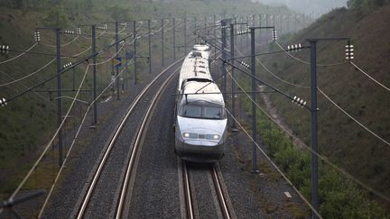 Un TGV photographié le 7 avril 2017. (A.J. CASSAIGNE / PHOTONONSTOP / AFP)