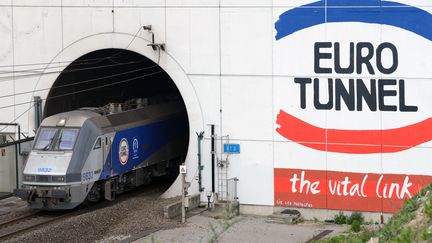 Un train quitte le tunnel sous la manche, le 10 avril 2014 &agrave; Coquelles (Pas-de-Calais). (DENIS CHARLET / AFP)