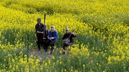 Une fête de la musique très Picarde, au milieu d'un champ de colza
 (France 3 / Culturebox)