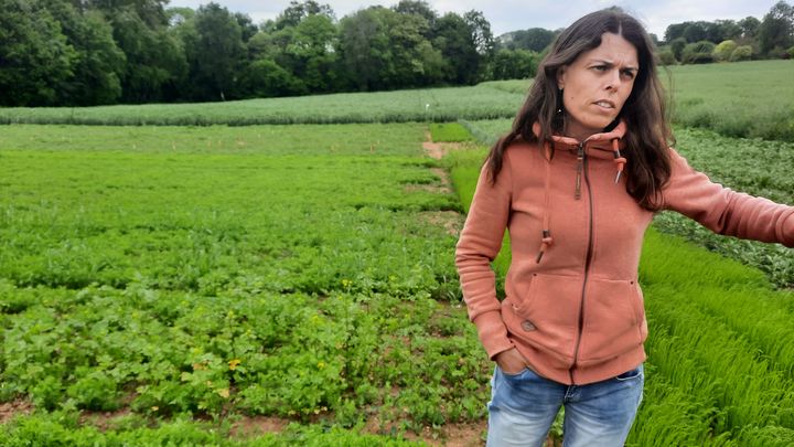 Caroline Cocoual, chargée d'études auprès de la chambre d'agriculture de Bretagne. (GUILLAUME GAVEN / FRANCEINFO)