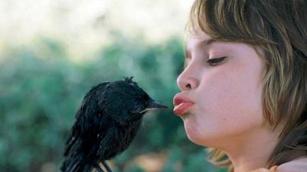 Rick Lens dans &quot;Little Bird&quot; de Boudewijn Koole
 (Les Films du Préau)