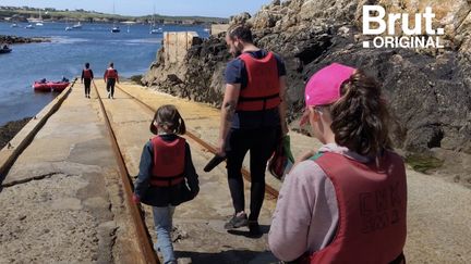 Professeur des écoles, Timothée a accepté ce poste sur cette île bretonne de moins de mille habitants. Un choix qu'il ne regrette pas. Brut l'a rencontré.