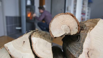 Un poêle&nbsp;à bois (un insert) destiné au chauffage principal dans un appartement. (Illustration) (JEAN-MARC LOOS / MAXPPP)