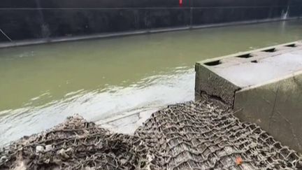 Chaque année, il y aurait entre 100 et 200 tonnes de nouveaux déchets difficiles à éliminer dans la Seine. Comment limiter cette pollution ? (FRANCEINFO)