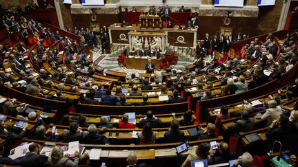 Gérald Darmanin speaks in the hemicycle of the National Assembly, during the debate on the motion to reject the immigration text, on December 11.  (LUDOVIC MARIN / AFP)