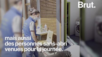 VIDEO. Elles soignent gratuitement les animaux des personnes démunies et sans-abri (BRUT)