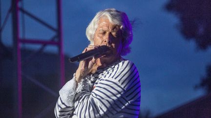 Jean-Paul Corbineau en concert avec Tri Yann lors du festival des Nuits Salines de Batz-sur-Mer (Loire-Atlantique) le 19 juillet 2014 (CAROLINE PAUX / HANS LUCAS / HANS LUCAS VIA AFP)