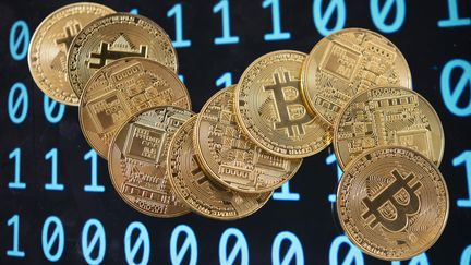 Le prochain "halving" du bitcoin aura lieu d'ici fin avril, photo d'illustration. (JOAO LUIZ BULCAO / HANS LUCAS / AFP)