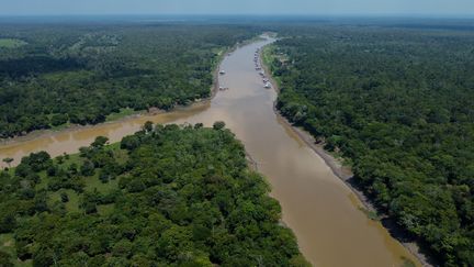 Une vue aérienne de la forêt amazonienne dans l'Etat de l'Amazonas, au Brésil, le 27 septembre 2023. (MICHAEL DANTAS / AFP)