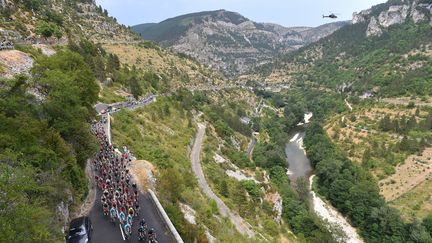 Le peloton lors de la 14e &eacute;tape du Tour de France entre Rodez (Aveyron) et Mende (Loz&egrave;re), le 18 juillet 2015. (DE WAELE TIM / TDWSPORT SARL / AFP)