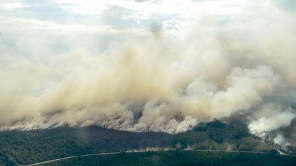 La Suède fait face à de violents incendies depuis plusieurs jours, en ce mois de juillet 2018. (MAJA SUSLIN / TT NEWS AGENCY)