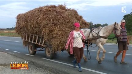 Roumanie
 (CAPTURE D'ÉCRAN FRANCE 3)