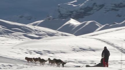 Montagne : sur les traces de "La Grande Odyssée" des chiens de traineaux (France 2)