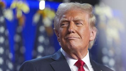 Résultats de la présidentielle américaine 2024 : Donald Trump réussit un incroyable retour gagnant (France 2)