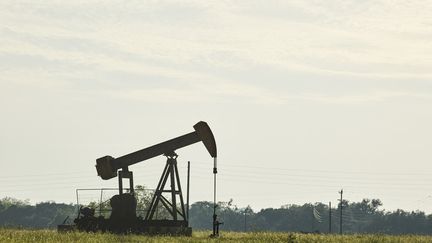 Un puits de pétrole au Texas (Etats-Unis), le 20 avril 2020. (DAVE CREANEY / ANADOLU AGENCY)