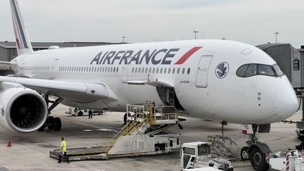 Un Boeing 777 de la compagnie Air France, le 17 septembre 2023, sur le tarmac de l'aéroport de Paris-Charles-de-Gaulle, à Roissy-en-France (Val-dOise). (DANIEL SLIM / AFP)