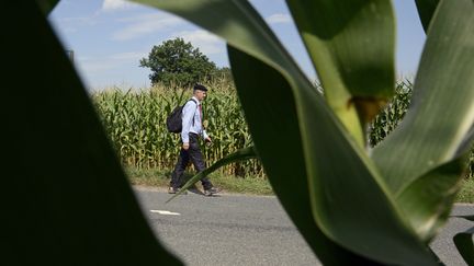 Parcourant une vingtaine de kilom&egrave;tres par jour, "le d&eacute;put&eacute; qui marche"&nbsp;&ndash;&nbsp;comme il se pr&eacute;sente&nbsp;&ndash;&nbsp;constate un "terrifiant rejet des &eacute;lites" et un "sentiment de d&eacute;sespoir tr&egrave;s fort". (PHILIPPE DESMAZES / AFP)