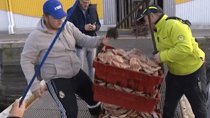 Pêche : le retour de la coquille Saint-Jacques