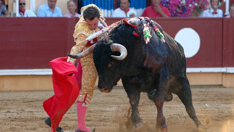 corrida bayonne