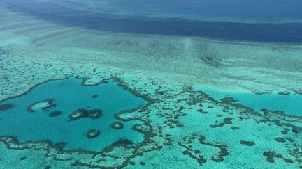 La Grande barrière de corail, en Australie. Outre ses matières premières, le pays dispose de ressources importantes dans l'industrie des services, comme le tourisme. (Sarah Lai / AFP)