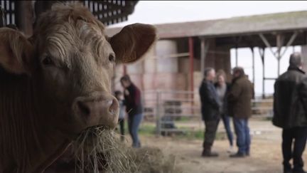 Salon de l’agriculture : un « contre » salon lancé par les syndicats (Franceinfo)