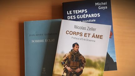 "Sombre éclat", "Corps et âme", "Le Temps des guépards" : trois livres choisis par franceinfo (FRANCK COGNARD / FRANCEINFO / RADIO FRANCE)