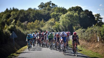 Le peloton du Tour de France 2020 lors de la 11e étape entre Chatelaillon Plage et Poitiers le 9 septembre. (ANNE-CHRISTINE POUJOULAT / AFP)