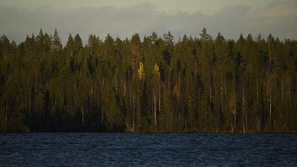 Une forêt boréale en Finlande, le 6 octobre 2022. (OLIVIER MORIN / AFP)