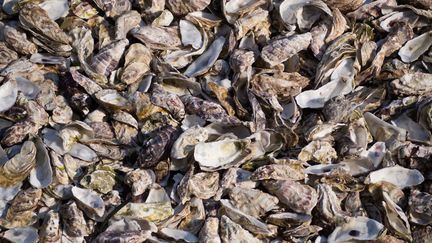 Au jardin, la coquille d'huître est une pierre précieuse... (GETTY IMAGES)